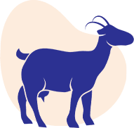 Healthy dairy cows on a farm using RGS feed