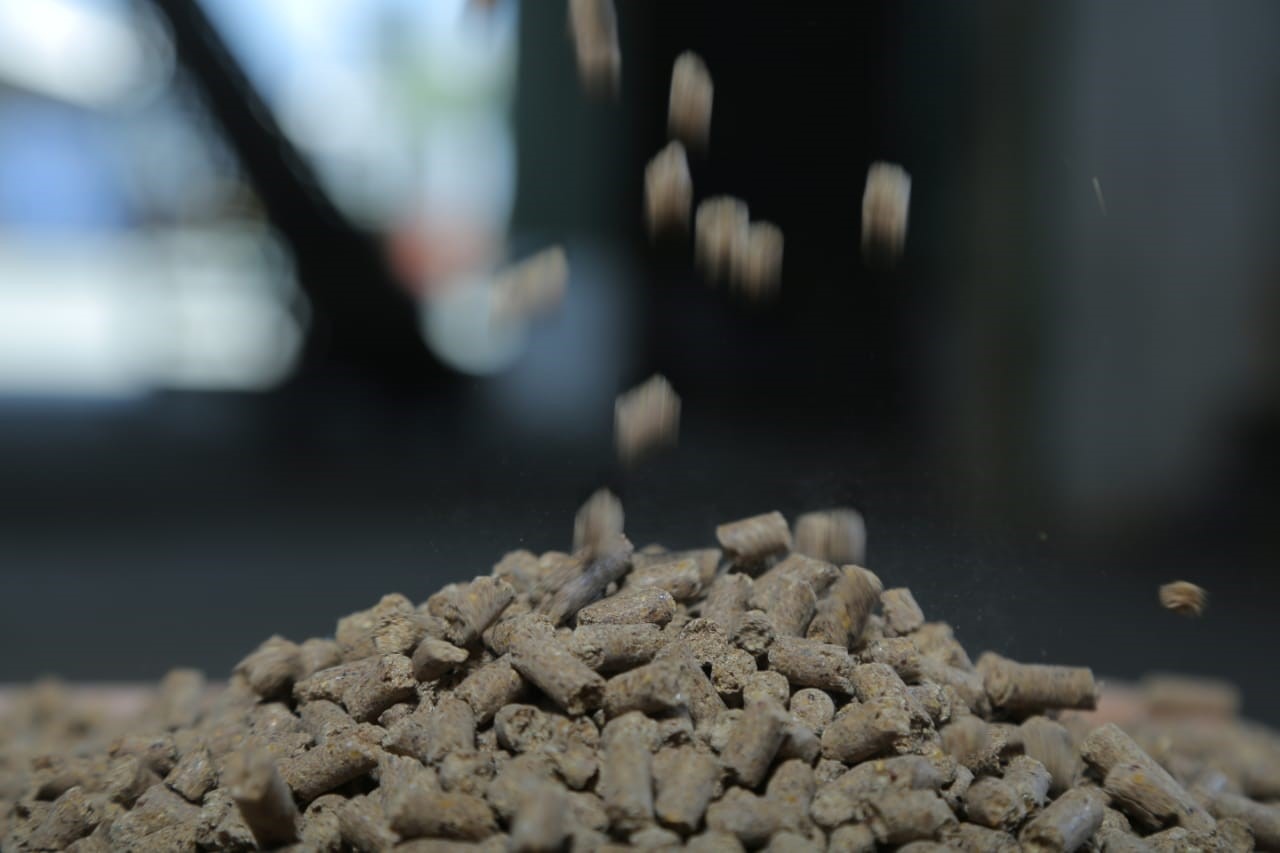 RGS-Feeds-production-facility-Erode