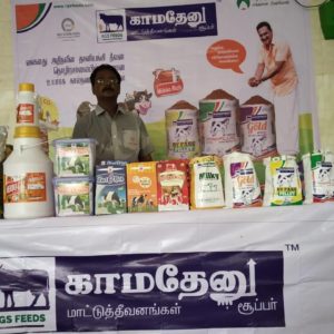 Domestic Market Expo