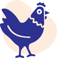 Healthy dairy cows on a farm using RGS feed