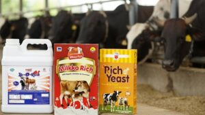 Read more about the article Top​‍​‌‍​‍‌​‍​‌‍​‍‌ Supplements to Increase Cow Milk Yield