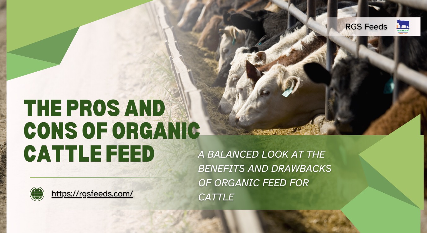 You are currently viewing The​‍​‌‍​‍‌​‍​‌‍​‍‌ Pros and Cons of Organic Cattle Feed