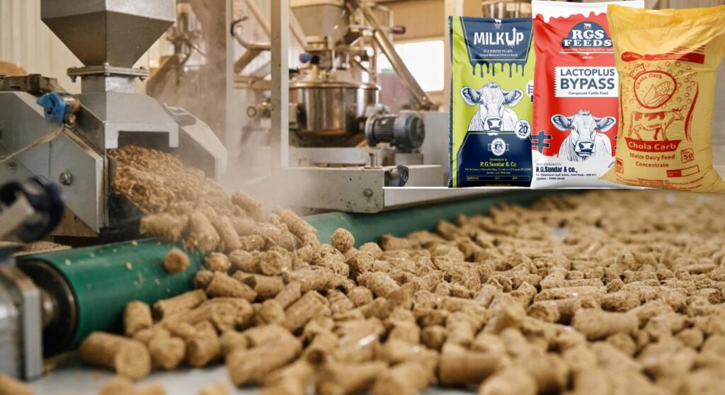 RGS Feeds pellet-based cattle nutrition improving digestibility and feed efficiency