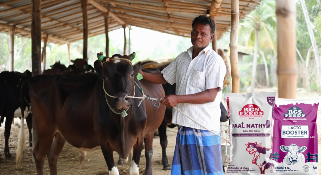 Bulk dairy cattle feed formulated to improve milk production in high-yielding cows