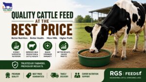 Read more about the article Where Can I Buy Quality Cattle Feed at the Best Price?