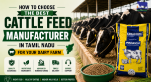Read more about the article How to Choose the Best Cattle Feed Manufacturer in Tamil Nadu for Your Dairy Farm